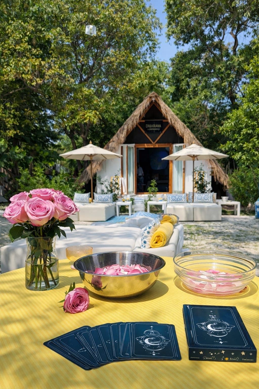 Dharma beach club plan especial