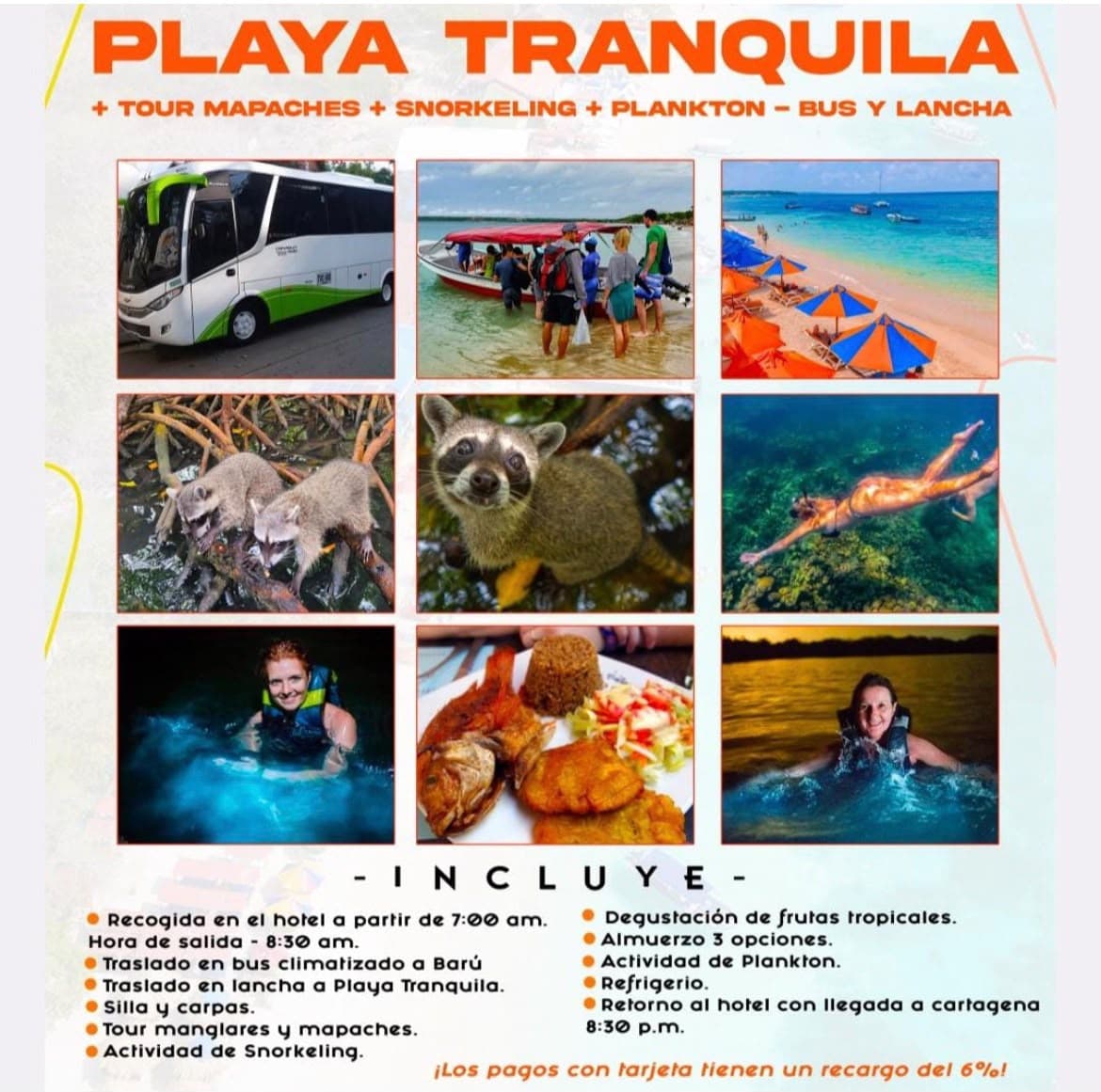 Playa tranquila más tour mapaches más snorkel más plancton