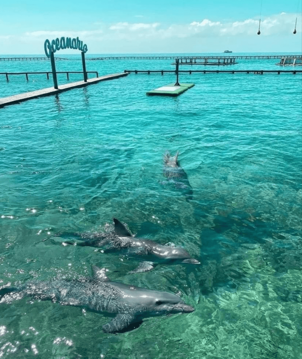 Islas del rosario terrestre