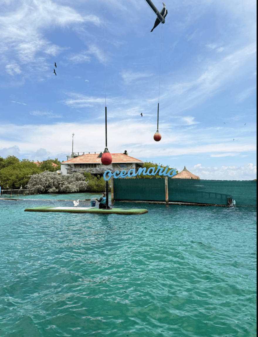Tour baru más islas