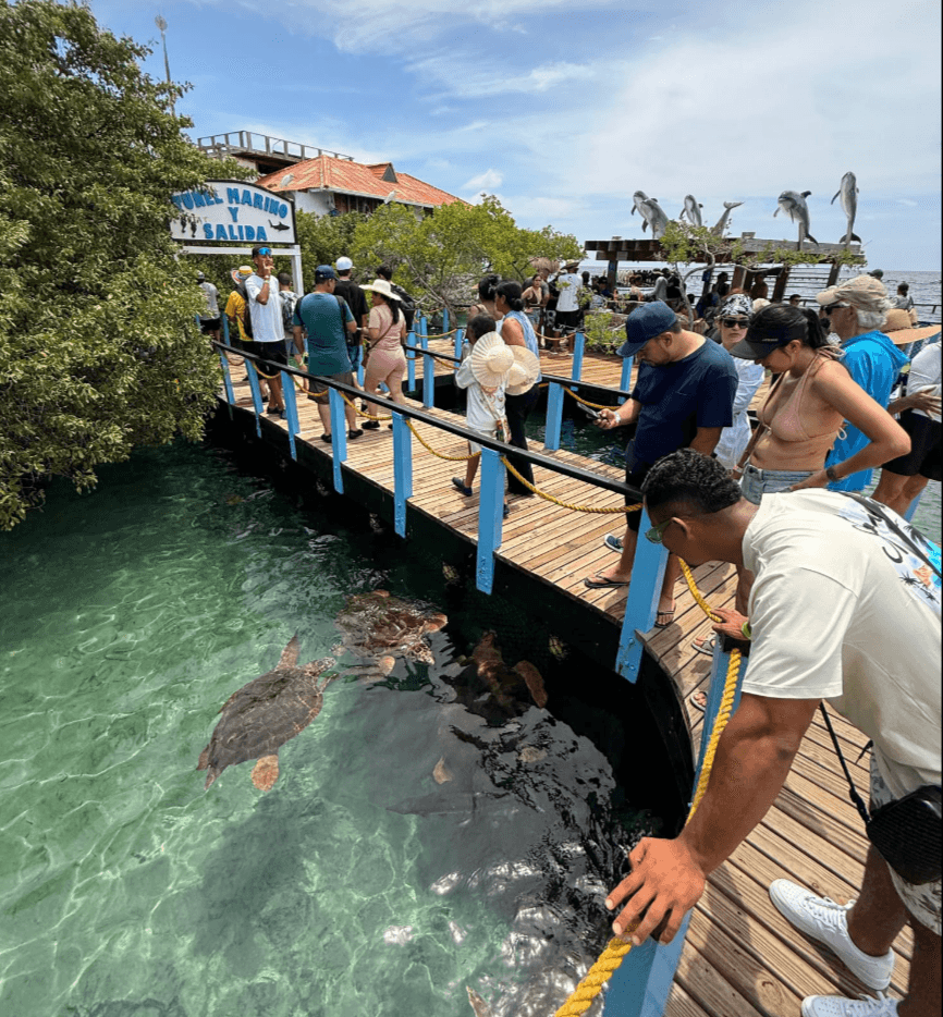Tour baru más islas 2