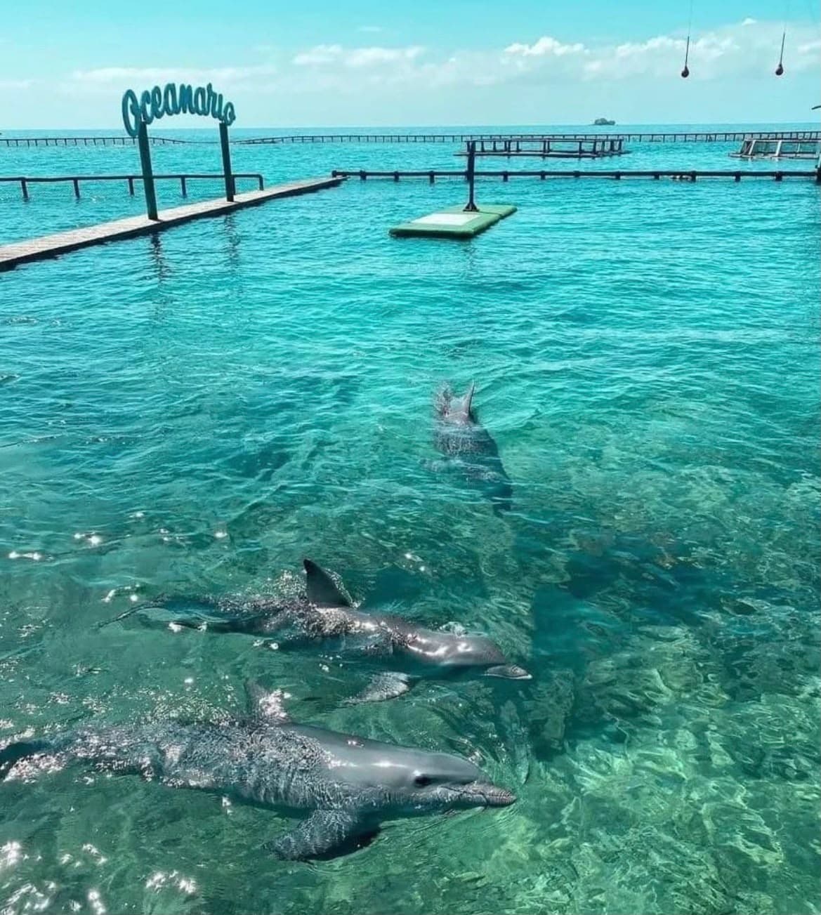 Barú más islas del rosario 4
