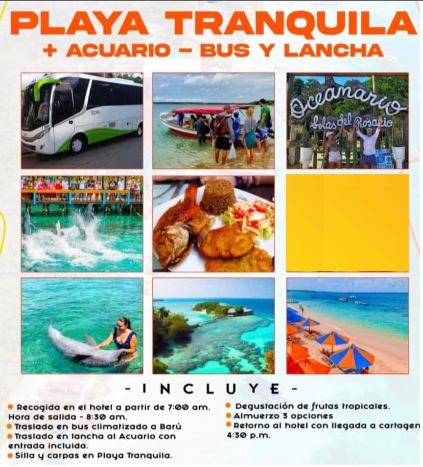 Playa tranquila + Acuario