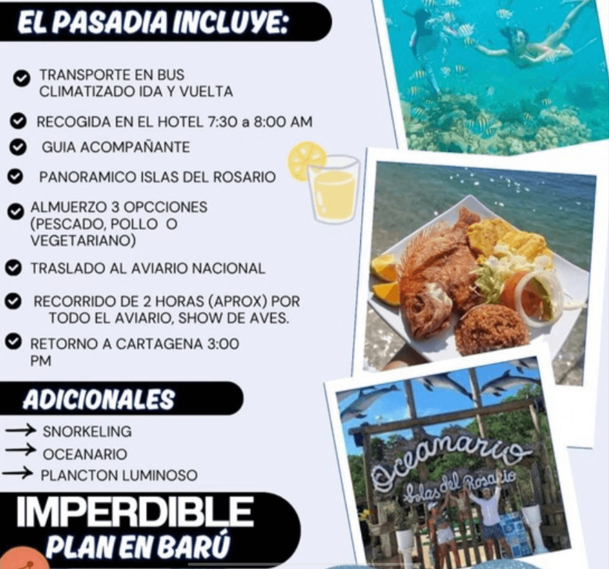 Baru + islas + aviario con parada en el oceanario